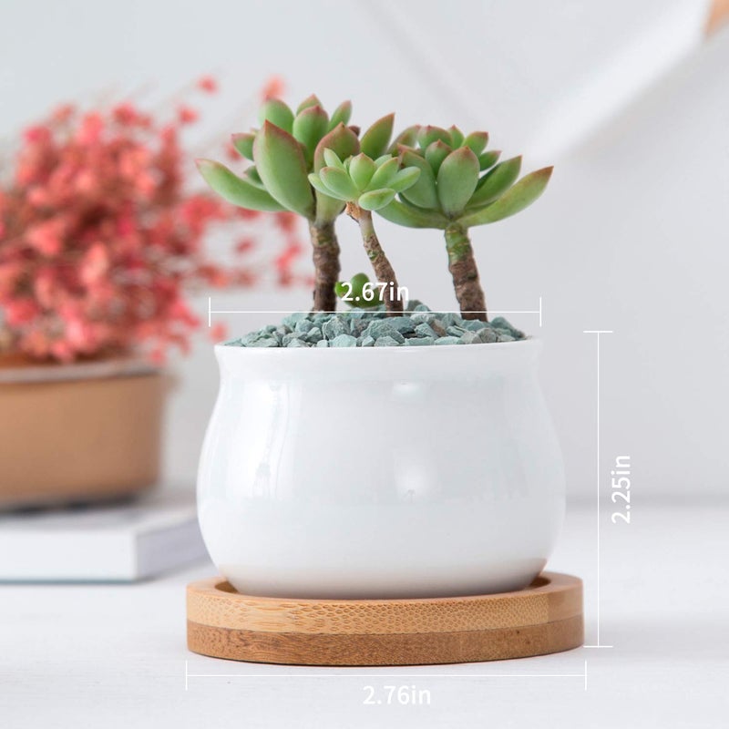 Brajttt Succluent Pots ï¼ŒSmall Flower Pots Planter Pots with Drinage,Ceramic Flowers Pots with Bamboo Tray for Cactus(12 Pack - Image 2